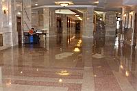 IMG_7082.JPG