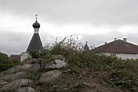 IMG_7831.JPG