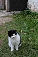 IMG_7861.JPG