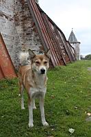 IMG_7864.JPG