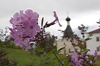 IMG_7873.JPG