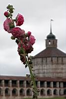 IMG_7876.JPG