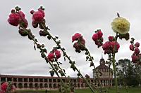 IMG_7878.JPG
