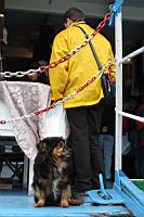 IMG_7895.JPG