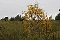 IMG_8214.JPG