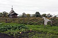 IMG_8255.JPG