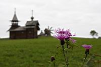 IMG_8314.JPG