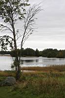 IMG_8330.JPG