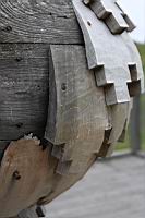IMG_8439.JPG