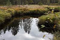 IMG_8998.JPG