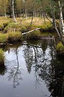 IMG_9000.JPG