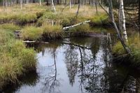 IMG_9001.JPG