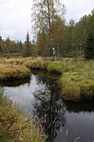IMG_9089.JPG