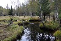 IMG_9090.JPG