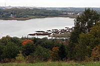 IMG_9403.JPG