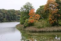 IMG_9464.JPG