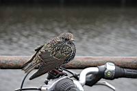 IMG_0025.JPG