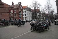 IMG_9786.JPG