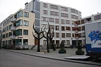 IMG_9790.JPG