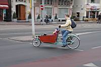 IMG_9858.JPG