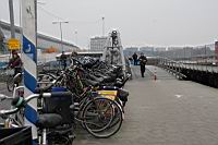 IMG_9968.JPG