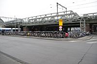 IMG_9975.JPG