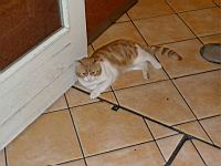 P1000326.JPG