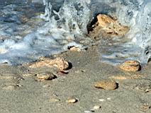02-sea-00.JPG