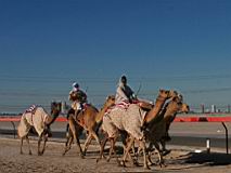 03-dubai-04.JPG
