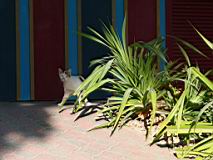 03-dubai-05.JPG