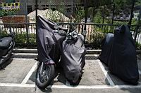 IMG_3087.JPG