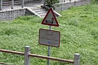 IMG_3093.JPG