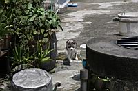 IMG_3101.JPG