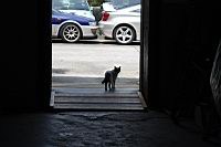 IMG_3103.JPG