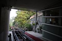 IMG_3296.JPG