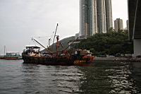 IMG_3370.JPG