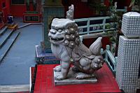 IMG_3451.JPG