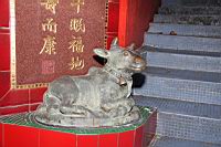 IMG_3458.JPG