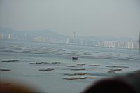IMG_4081.JPG