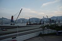 IMG_4236.JPG
