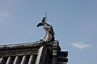 IMG_5154.JPG