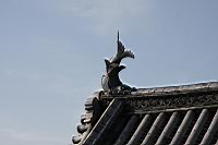 IMG_5157.JPG