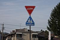 IMG_5239.JPG
