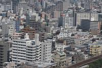 IMG_5485.JPG