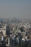 IMG_5492.JPG