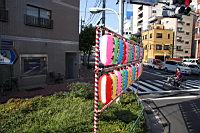 IMG_5614.JPG