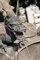 IMG_5762.JPG