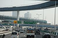 IMG_5949.JPG