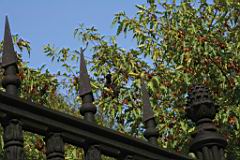 IMG_4261-cut.jpg