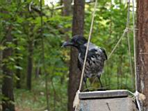IMG_4565-cut.jpg